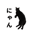 黒猫ちゃんスタンプ（個別スタンプ：3）