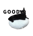 黒猫ちゃんスタンプ（個別スタンプ：4）