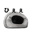 黒猫ちゃんスタンプ（個別スタンプ：7）