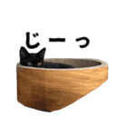 黒猫ちゃんスタンプ（個別スタンプ：8）