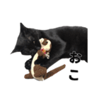 黒猫ちゃんスタンプ（個別スタンプ：14）