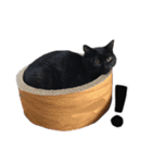 黒猫ちゃんスタンプ（個別スタンプ：15）