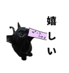 黒猫ちゃんスタンプ（個別スタンプ：28）