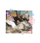 ボスドック（個別スタンプ：1）
