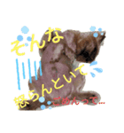 ボスドック（個別スタンプ：3）