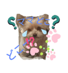 ボスドック（個別スタンプ：8）
