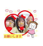 みんなのスタンプ6（個別スタンプ：4）