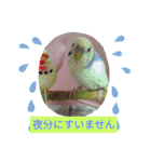 みんなのスタンプ6（個別スタンプ：9）