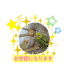 みんなのスタンプ6（個別スタンプ：21）