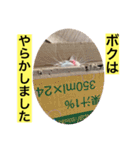 クロ＆ハム太郎（個別スタンプ：1）