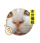 クロ＆ハム太郎（個別スタンプ：4）