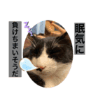 クロ＆ハム太郎（個別スタンプ：5）