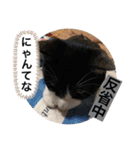 クロ＆ハム太郎（個別スタンプ：7）