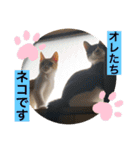 クロ＆ハム太郎（個別スタンプ：8）