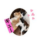 クロ＆ハム太郎（個別スタンプ：9）