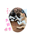 クロ＆ハム太郎（個別スタンプ：10）