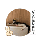 クロ＆ハム太郎（個別スタンプ：13）