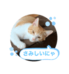 クロ＆ハム太郎（個別スタンプ：15）