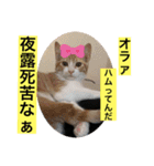 クロ＆ハム太郎（個別スタンプ：16）