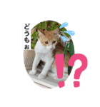 クロ＆ハム太郎（個別スタンプ：17）