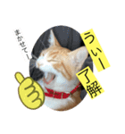 クロ＆ハム太郎（個別スタンプ：19）