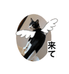 クロ＆ハム太郎（個別スタンプ：20）