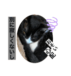 クロ＆ハム太郎（個別スタンプ：21）