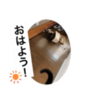 クロ＆ハム太郎（個別スタンプ：24）