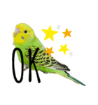my little birds 2（個別スタンプ：5）