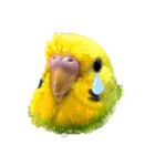 my little birds 2（個別スタンプ：7）