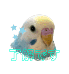 my little birds 2（個別スタンプ：8）