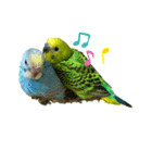 my little birds 2（個別スタンプ：18）