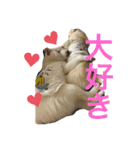 カイ＆むぅ（個別スタンプ：2）