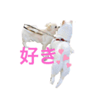 カイ＆むぅ（個別スタンプ：7）