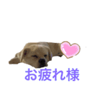 カイ＆むぅ（個別スタンプ：11）