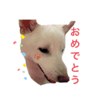カイ＆むぅ（個別スタンプ：16）