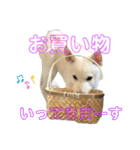 カイ＆むぅ（個別スタンプ：20）