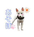 カイ＆むぅ（個別スタンプ：21）