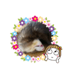 ふぇれはむず7（個別スタンプ：3）