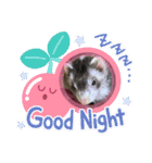 ふぇれはむず7（個別スタンプ：4）
