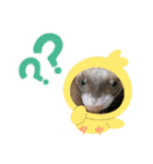 ふぇれはむず7（個別スタンプ：7）