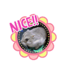 ふぇれはむず7（個別スタンプ：12）
