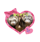 ふぇれはむず7（個別スタンプ：15）
