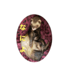 ふぇれはむず7（個別スタンプ：17）