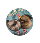 ふぇれはむず7（個別スタンプ：21）