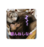 ふぇれはむず7（個別スタンプ：22）