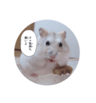 メルの毒舌シリーズ（個別スタンプ：2）