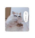 メルの毒舌シリーズ（個別スタンプ：3）