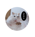 メルの毒舌シリーズ（個別スタンプ：4）