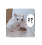 メルの毒舌シリーズ（個別スタンプ：5）
